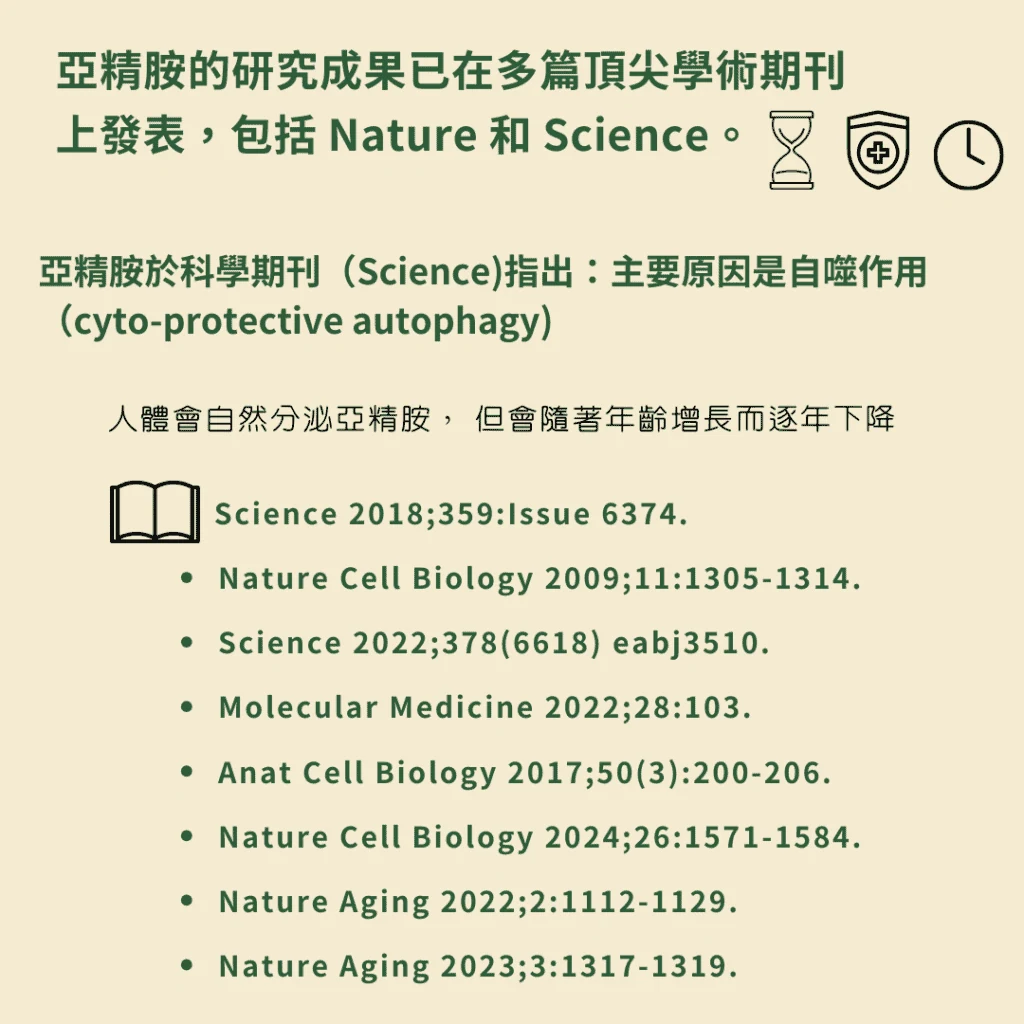 亞精胺的研究成果已在多篇頂尖學術期刊上發表，包括 Nature 和 Science。 亞精胺於科學期刊（Science)指出：主要原因是自噬作用 （cyto-protective autophagy)